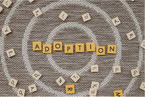 Adoption Text