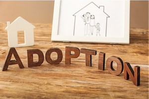 Adoption Wooden Words