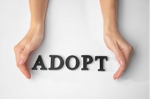 Adoption Words