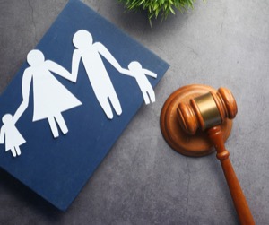 Difference Between Sole and Joint Custody: