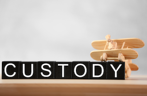 How to File for Full Child Custody in Texas: Step by Step