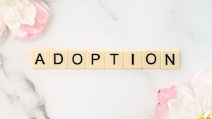 Your Complete Guide to Infant Adoption in Texas